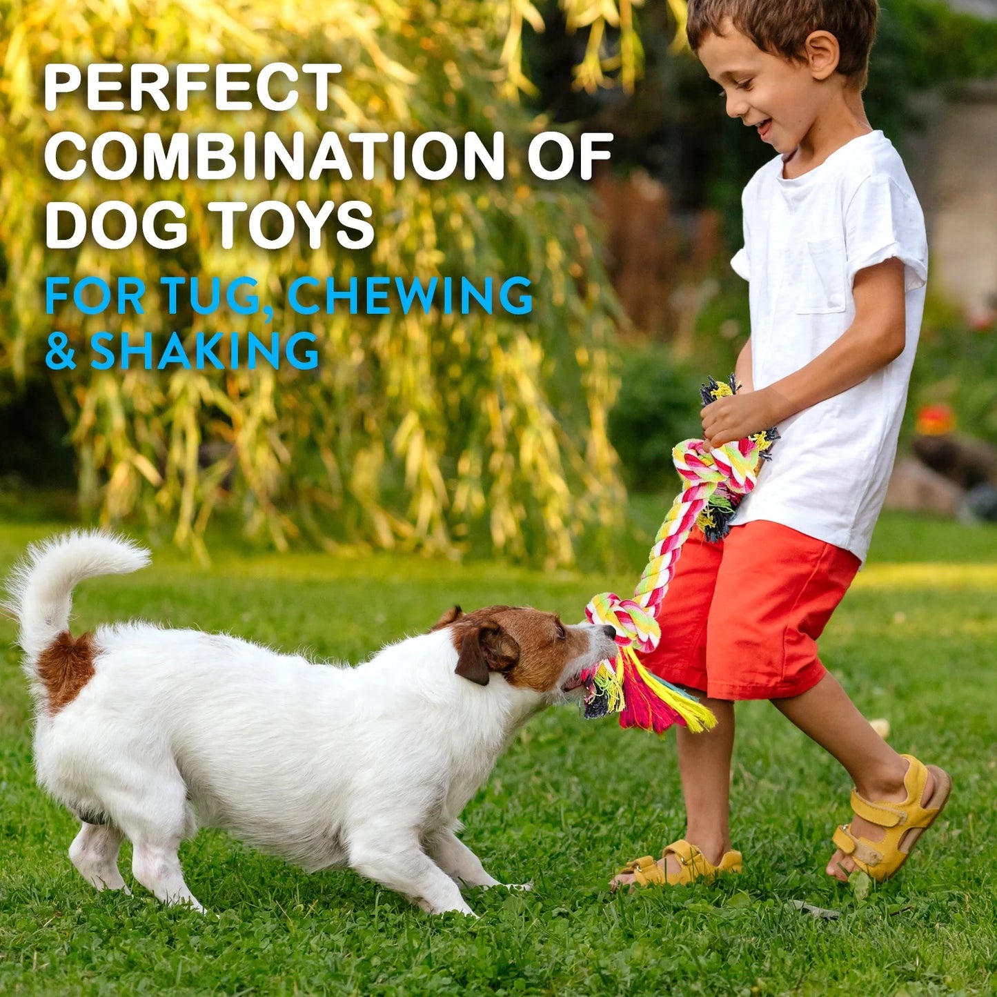 Dog Rope Toys for Small & Medium Dogs Dog Toy Pack of 11 Puppy Teething Toys